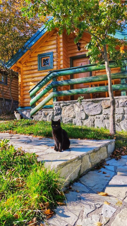 Kozak Apartments & Restaurant Mojkovac Zewnętrze zdjęcie